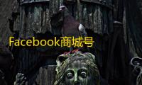 Facebook商城号在线购买后如何登录？