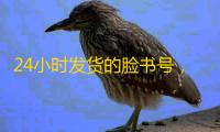 24小时发货的脸书号，推广运营不用愁