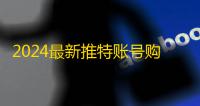 2024最新推特账号购买攻略快收藏